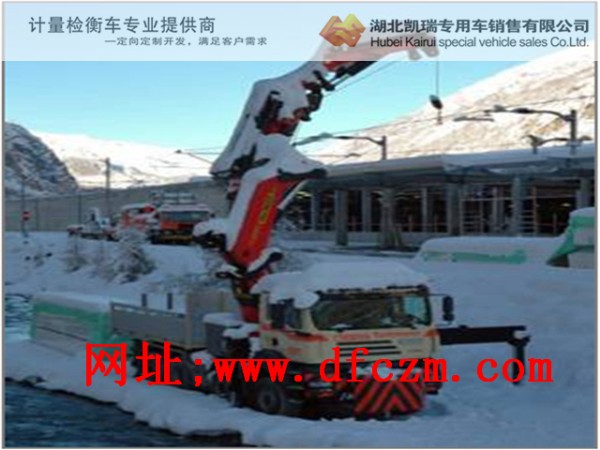 帕爾菲格折臂吊低溫試驗 帕爾菲格折臂吊低溫試驗