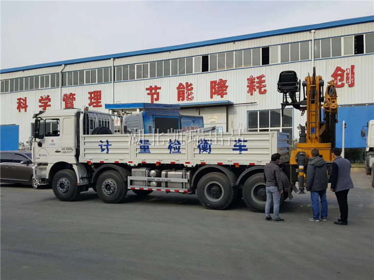 大冶有色金屬領導一行現場驗收 大冶有色金屬領導一行現場驗收